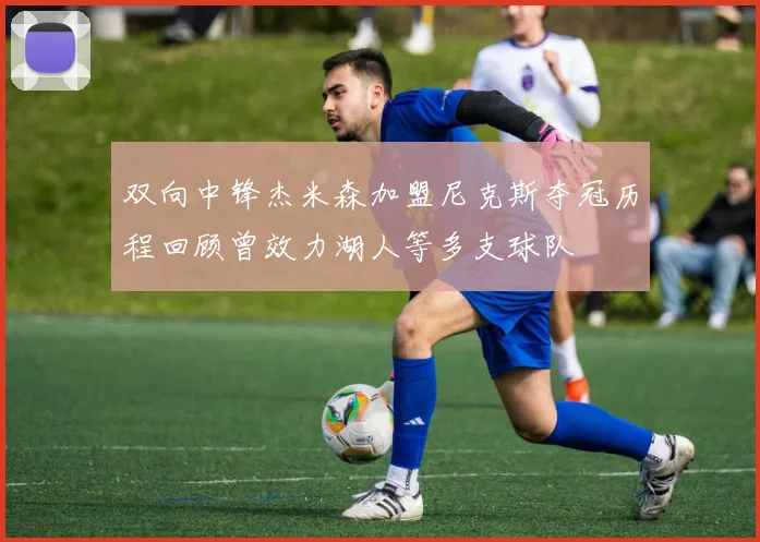 双向中锋杰米森加盟尼克斯夺冠历程回顾曾效力湖人等多支球队